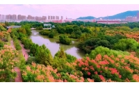 【景區(qū)廣播案例】浙江AAA級(jí)景區(qū)--臺(tái)州中央山公園