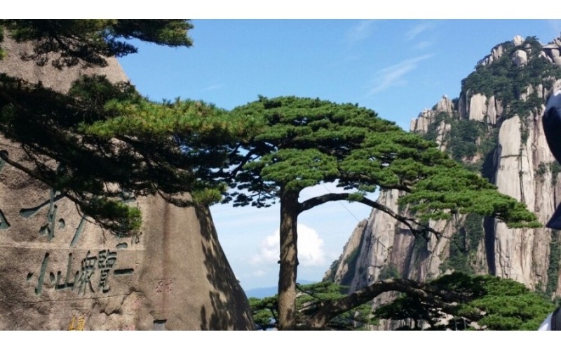 【景區(qū)IP網(wǎng)絡(luò)廣播】解決方案